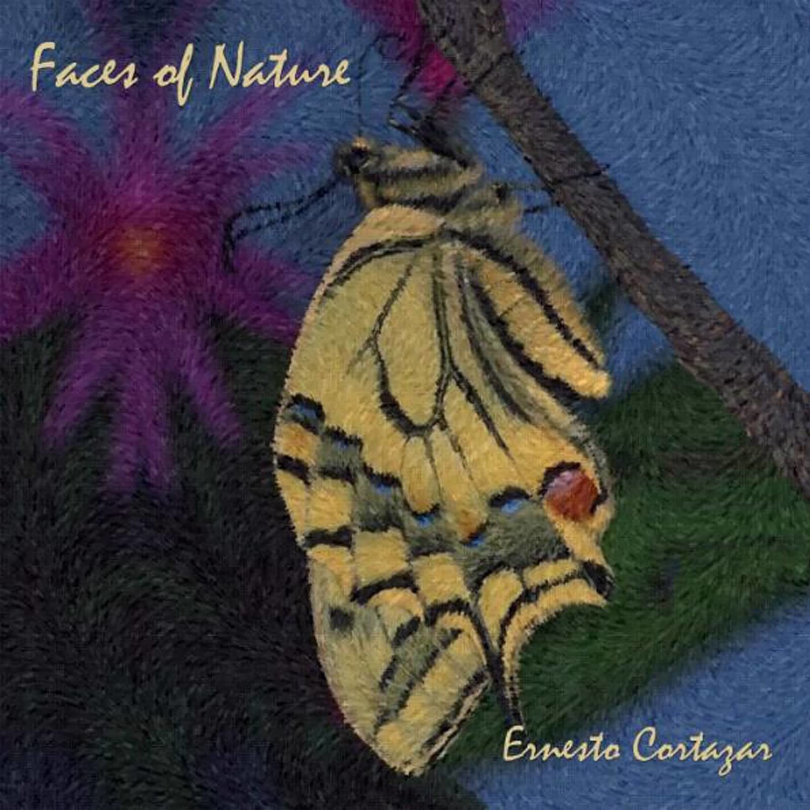 Faces Of Nature MP3 Album Composed by Ernesto Cortazar